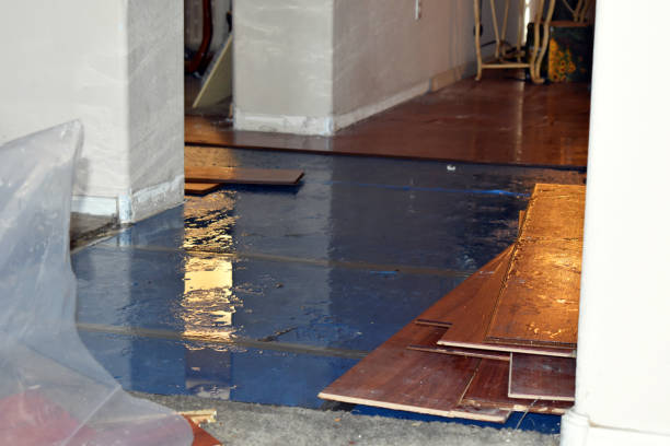 Professional Flood Damage Repair technician working in Castaic, CA